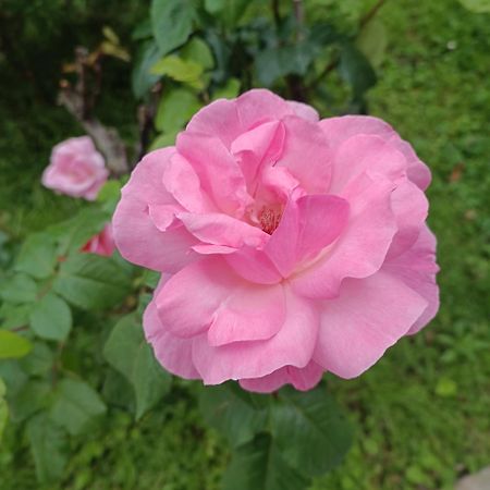 Luna 31 Portorož Zewnętrze zdjęcie
